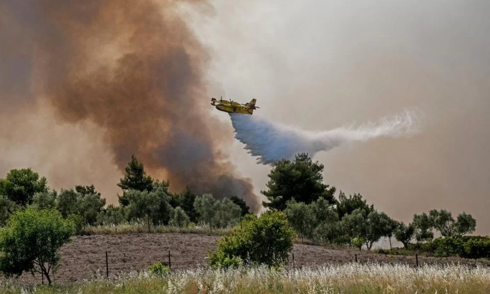 Φωτιά ξέσπασε στην Αταλάντη Φθιώτιδας